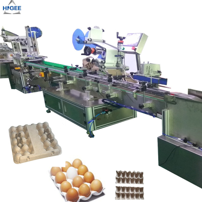 中国 卵のプラスチックの箱が付いている皿のカートン箱の分類機械、卵の保護装置箱の卵の砂箱が付いている平らな分類機械に卵を投げつけて下さい サプライヤー